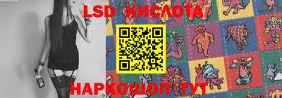 твердый Камышлов