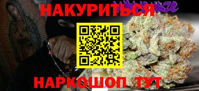 индика Кингисепп