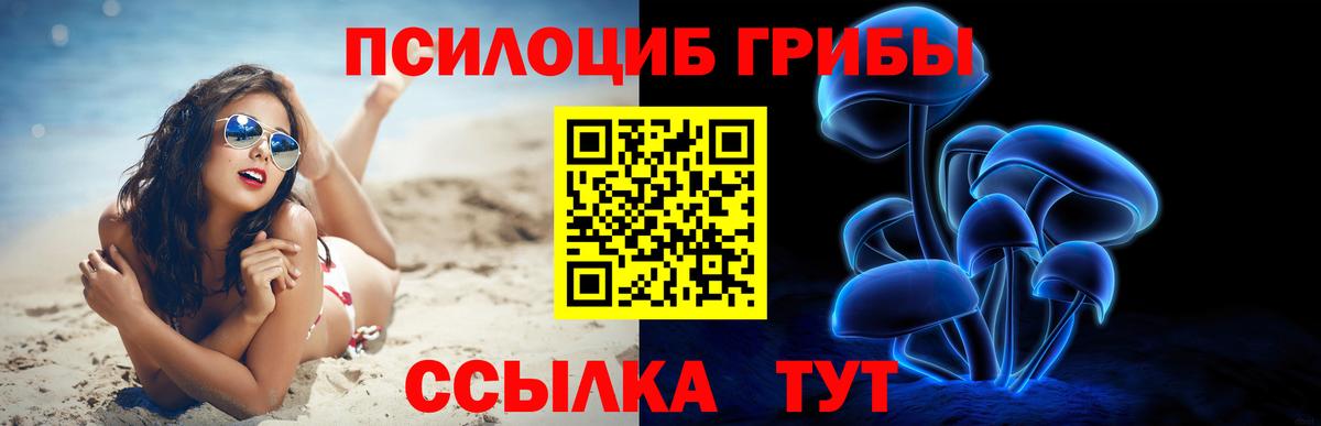 Галлюциногенные грибы ЛСД  Галлюциногенные грибы Cubensis  как найти закладки  Краснокамск  Вход с VPN 